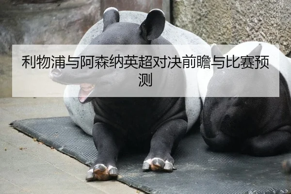 利物浦与阿森纳英超对决前瞻与比赛预测