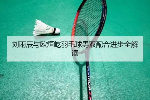刘雨辰与欧烜屹羽毛球男双配合进步全解读